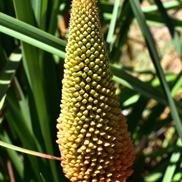 博彩软件棋牌游戏